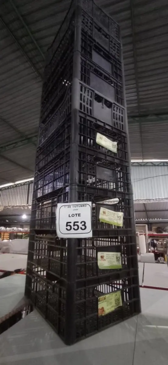 LOTE 553 - 10 CESTA ORGANIZADORAS. (NO ESTADO) ATENÇÃO! FAZER A VISITAÇÃO ANTES DE ARREMATAR, NÃO SABEMOS SE FUNCIONA, LEILÃO NÃO TEM GARANTIA E NEM DEVOLUÇÃO, SUJEITO A POSSÍVEIS AVARIAS VISÍVEIS/OCULTAS E/OU AUSÊNCIA DE COMPONENTES.