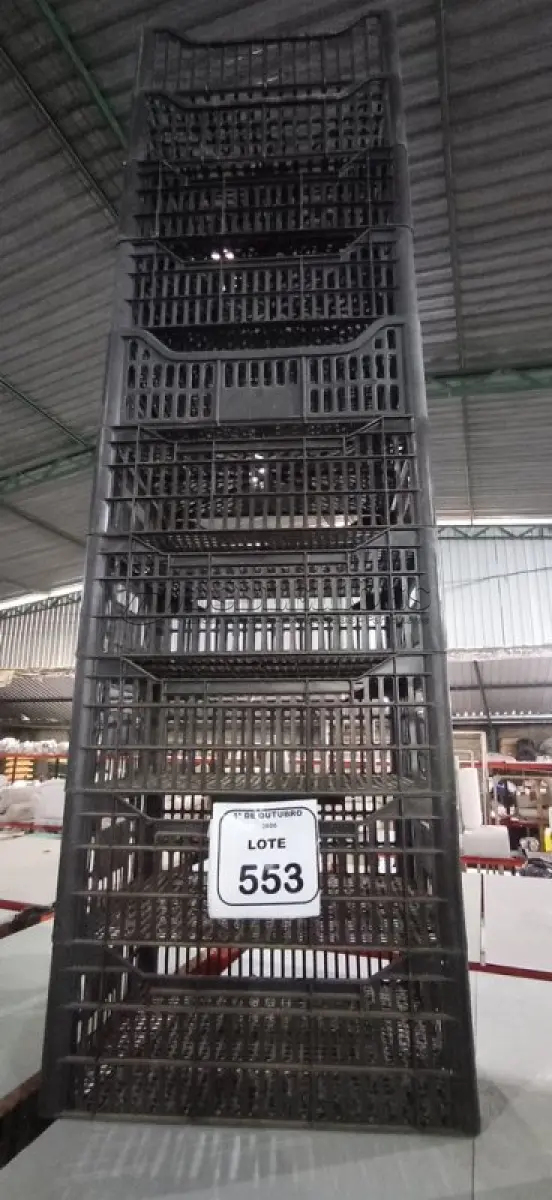LOTE 553 - 10 CESTA ORGANIZADORAS. (NO ESTADO) ATENÇÃO! FAZER A VISITAÇÃO ANTES DE ARREMATAR, NÃO SABEMOS SE FUNCIONA, LEILÃO NÃO TEM GARANTIA E NEM DEVOLUÇÃO, SUJEITO A POSSÍVEIS AVARIAS VISÍVEIS/OCULTAS E/OU AUSÊNCIA DE COMPONENTES.