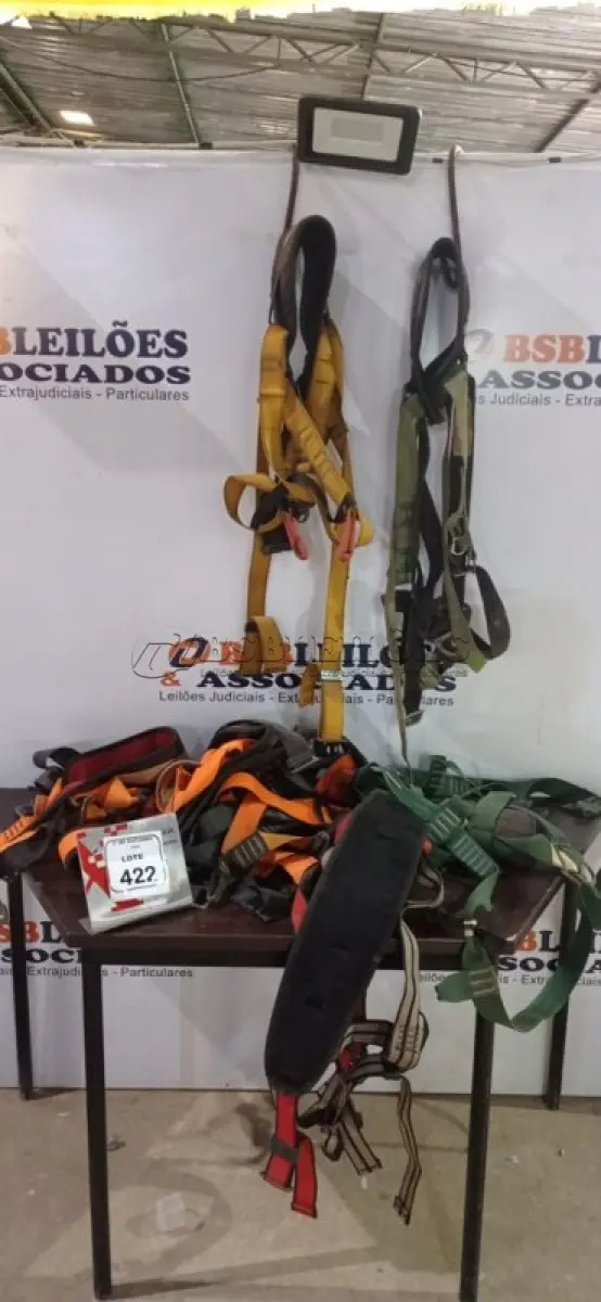 LOTE 422