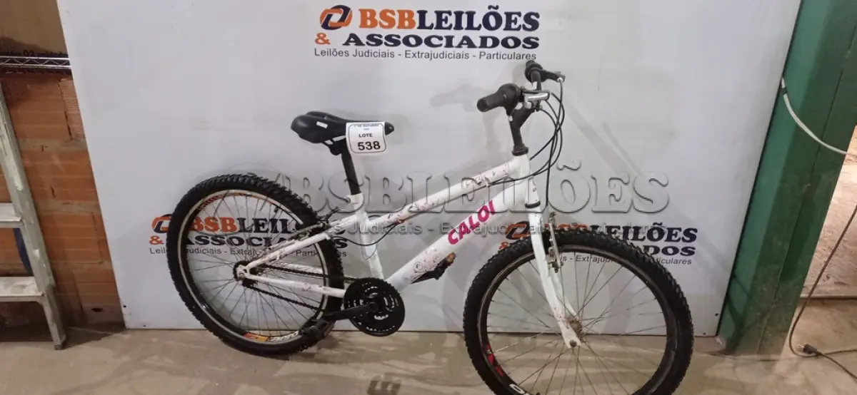 LOTE 538