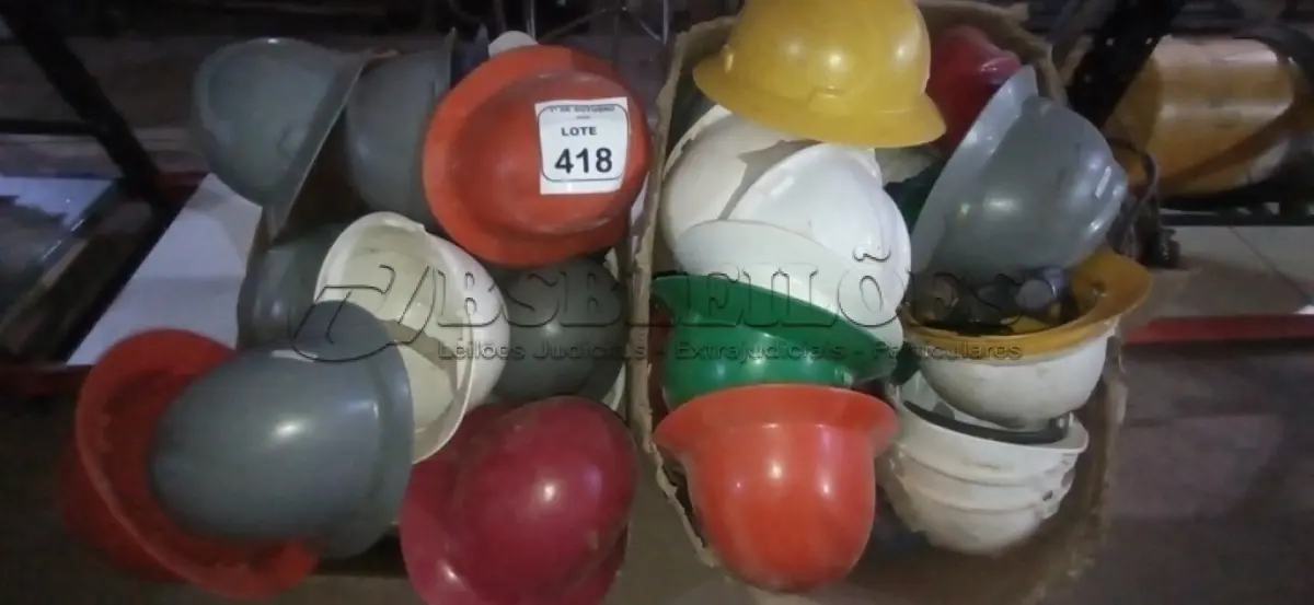 LOTE 418