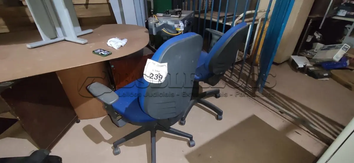 LOTE 239 - 02 CADEIRAS DE ESCRITÓRIO GIRATÓRIA. (NO ESTADO) ATENÇÃO! FAZER A VISITAÇÃO ANTES DE ARREMATAR, NÃO SABEMOS SE FUNCIONA, LEILÃO NÃO TEM GARANTIA E NEM DEVOLUÇÃO, SUJEITO A POSSÍVEIS AVARIAS VISÍVEIS/OCULTAS E/OU AUSÊNCIA DE COMPONENTES.