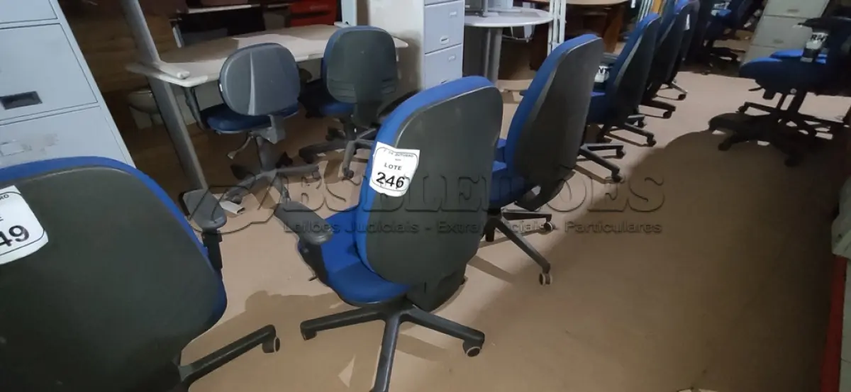 LOTE 246 - 02 CADEIRAS DE ESCRITÓRIO GIRATÓRIA. (NO ESTADO) ATENÇÃO! FAZER A VISITAÇÃO ANTES DE ARREMATAR, NÃO SABEMOS SE FUNCIONA, LEILÃO NÃO TEM GARANTIA E NEM DEVOLUÇÃO, SUJEITO A POSSÍVEIS AVARIAS VISÍVEIS/OCULTAS E/OU AUSÊNCIA DE COMPONENTES.