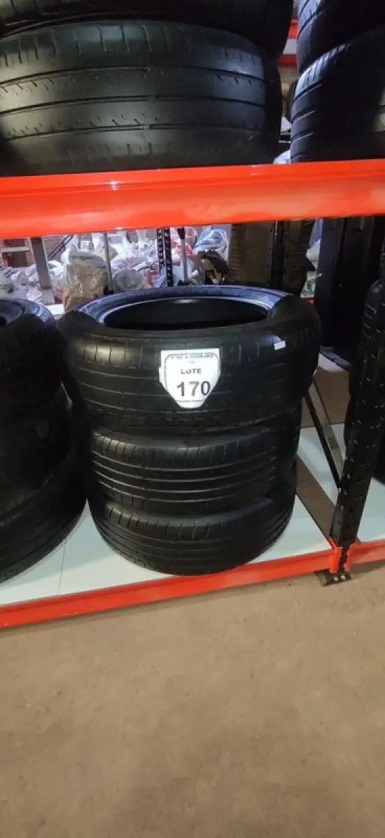 LOTE 170 - 03 PNEUS TAMANHO 205/60 R16. (NO ESTADO) ATENÇÃO! FAZER A VISITAÇÃO ANTES DE ARREMATAR, NÃO SABEMOS SE FUNCIONA, LEILÃO NÃO TEM GARANTIA E NEM DEVOLUÇÃO, SUJEITO A POSSÍVEIS AVARIAS VISÍVEIS/OCULTAS E/OU AUSÊNCIA DE COMPONENTES.