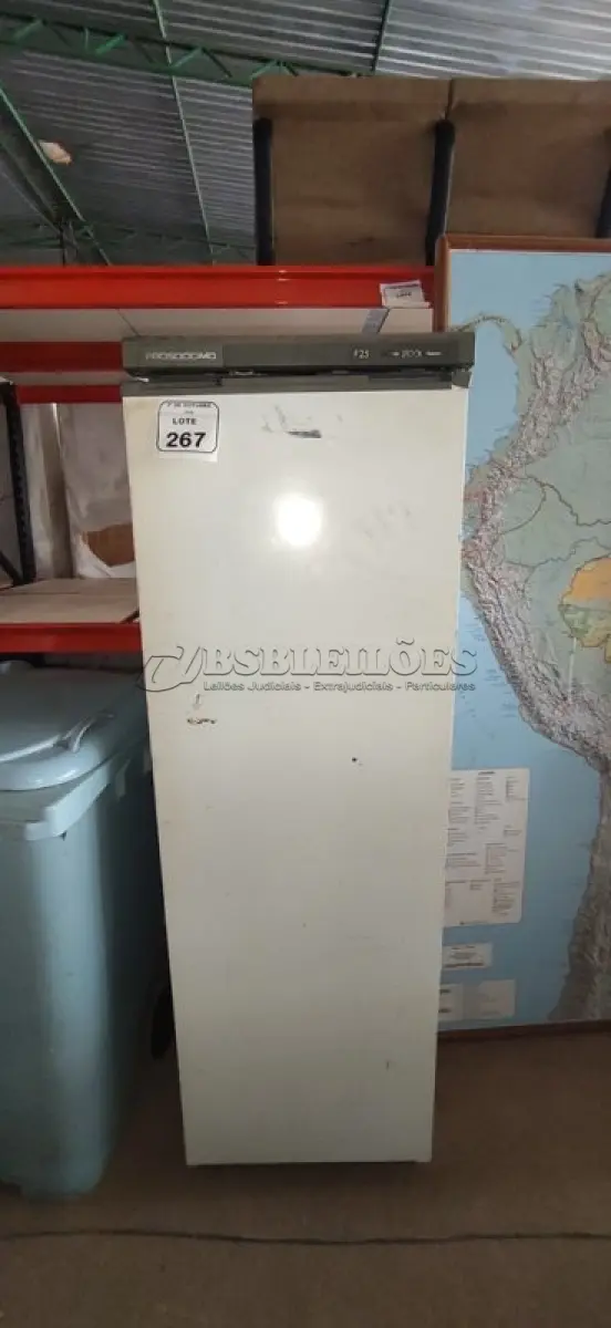 LOTE 267 - 01 FREEZER MODELO F25 STOCK MARCA PROSDÓCIMO. (NO ESTADO) ATENÇÃO! FAZER A VISITAÇÃO ANTES DE ARREMATAR, NÃO SABEMOS SE FUNCIONA, LEILÃO NÃO TEM GARANTIA E NEM DEVOLUÇÃO, SUJEITO A POSSÍVEIS AVARIAS VISÍVEIS/OCULTAS E/OU AUSÊNCIA DE COMPONENTES.