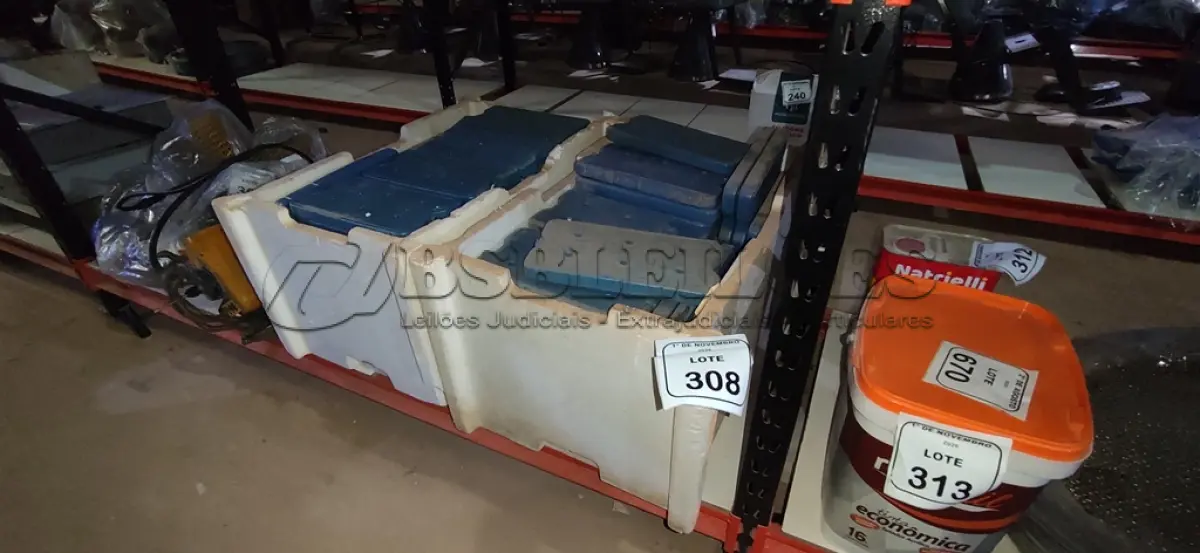 LOTE 308 - 01 LOTE COM GRANDE QUANTIDADE DE PLACAS DE GELO ARTIFICIAL REUTILIZÁVEL. (NO ESTADO) ATENÇÃO! FAZER A VISITAÇÃO ANTES DE ARREMATAR, NÃO SABEMOS SE FUNCIONA, LEILÃO NÃO TEM GARANTIA E NEM DEVOLUÇÃO, SUJEITO A POSSÍVEIS AVARIAS VISÍVEIS/OCULTAS E/OU AUSÊNCIA DE COMPONENTES.