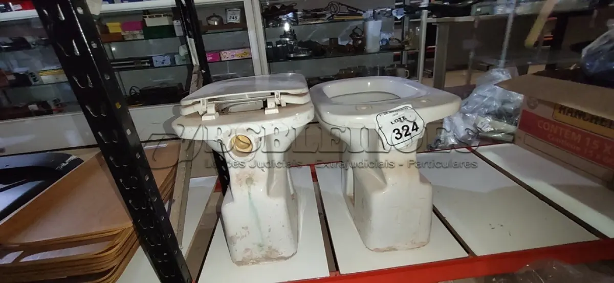 LOTE 324 - 02 VASOS SANITÁRIOS. (NO ESTADO) ATENÇÃO! FAZER A VISITAÇÃO ANTES DE ARREMATAR, NÃO SABEMOS SE FUNCIONA, LEILÃO NÃO TEM GARANTIA E NEM DEVOLUÇÃO, SUJEITO A POSSÍVEIS AVARIAS VISÍVEIS/OCULTAS E/OU AUSÊNCIA DE COMPONENTES.