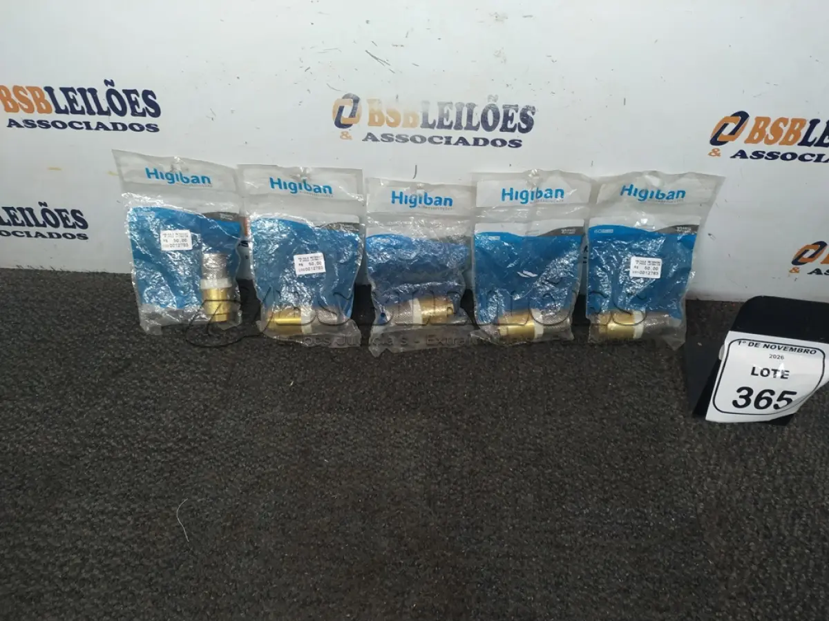 LOTE 365 - 05 VÁLVULAS DE RETENÇÃO MARCA HIGIBAN. (NO ESTADO) ATENÇÃO! FAZER A VISITAÇÃO ANTES DE ARREMATAR, NÃO SABEMOS SE FUNCIONA, LEILÃO NÃO TEM GARANTIA E NEM DEVOLUÇÃO, SUJEITO A POSSÍVEIS AVARIAS VISÍVEIS/OCULTAS E/OU AUSÊNCIA DE COMPONENTES.