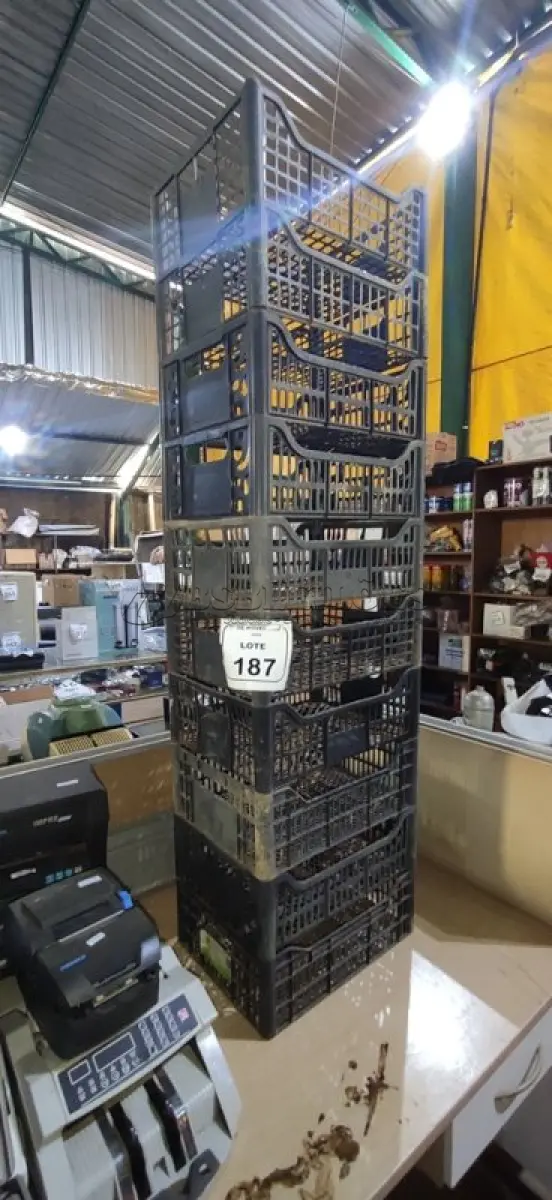 LOTE 187 - 10 CESTAS ORGANIZADORAS. (NO ESTADO) ATENÇÃO! FAZER A VISITAÇÃO ANTES DE ARREMATAR, NÃO SABEMOS SE FUNCIONA, LEILÃO NÃO TEM GARANTIA E NEM DEVOLUÇÃO, SUJEITO A POSSÍVEIS AVARIAS VISÍVEIS/OCULTAS E/OU AUSÊNCIA DE COMPONENTES.