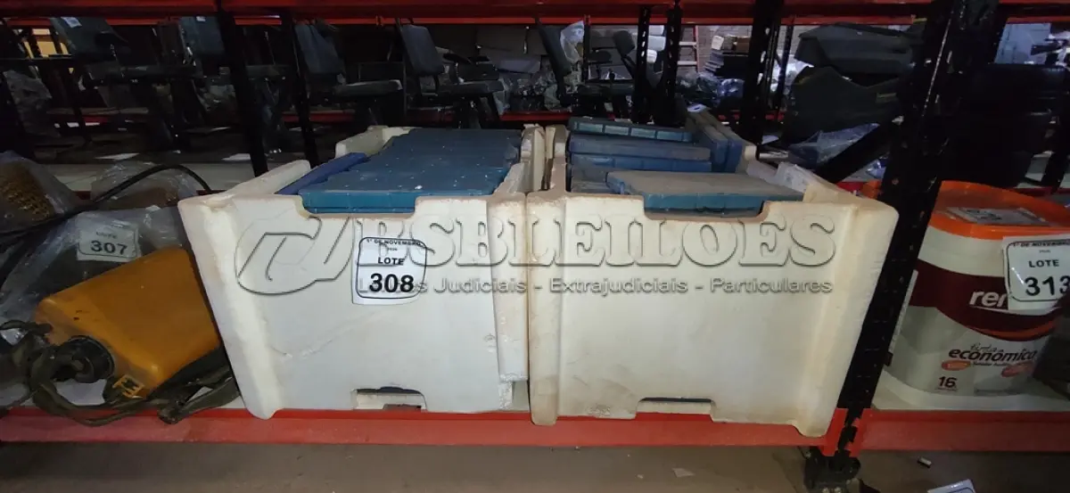 LOTE 308 - 01 LOTE COM GRANDE QUANTIDADE DE PLACAS DE GELO ARTIFICIAL REUTILIZÁVEL. (NO ESTADO) ATENÇÃO! FAZER A VISITAÇÃO ANTES DE ARREMATAR, NÃO SABEMOS SE FUNCIONA, LEILÃO NÃO TEM GARANTIA E NEM DEVOLUÇÃO, SUJEITO A POSSÍVEIS AVARIAS VISÍVEIS/OCULTAS E/OU AUSÊNCIA DE COMPONENTES.