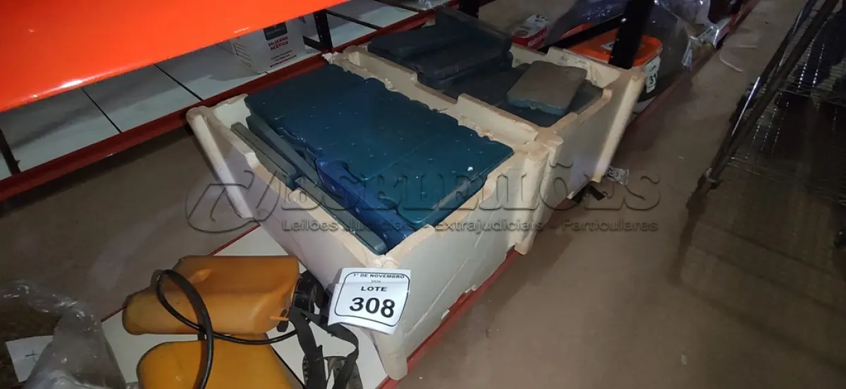 LOTE 308 - 01 LOTE COM GRANDE QUANTIDADE DE PLACAS DE GELO ARTIFICIAL REUTILIZÁVEL. (NO ESTADO) ATENÇÃO! FAZER A VISITAÇÃO ANTES DE ARREMATAR, NÃO SABEMOS SE FUNCIONA, LEILÃO NÃO TEM GARANTIA E NEM DEVOLUÇÃO, SUJEITO A POSSÍVEIS AVARIAS VISÍVEIS/OCULTAS E/OU AUSÊNCIA DE COMPONENTES.