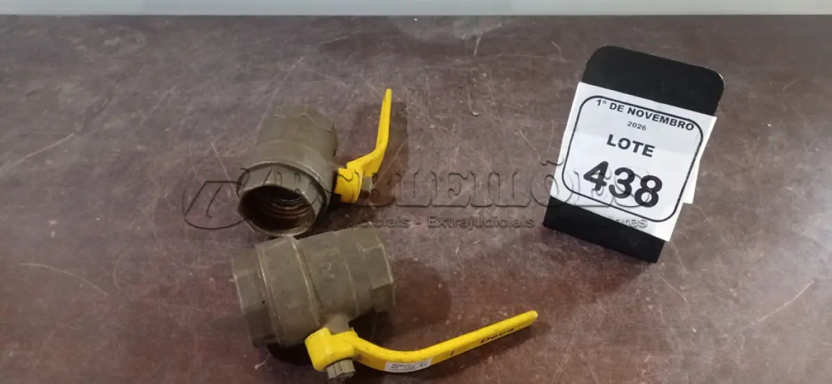 LOTE 438 - 02 REGISTROS ESFERA DE 2’’ DE METAL. (NO ESTADO) ATENÇÃO! FAZER A VISITAÇÃO ANTES DE ARREMATAR, NÃO SABEMOS SE FUNCIONA, LEILÃO NÃO TEM GARANTIA E NEM DEVOLUÇÃO, SUJEITO A POSSÍVEIS AVARIAS VISÍVEIS/OCULTAS E/OU AUSÊNCIA DE COMPONENTES.