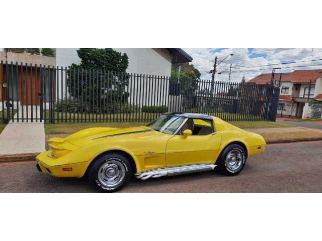 CORVETTE STINGRAY 1976 ( COLECIONADOR) - CASCAVEL-PR