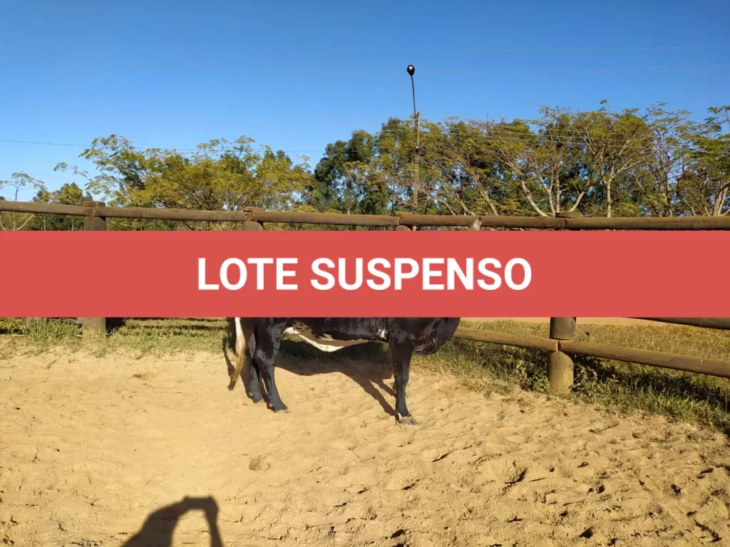 LOTE 010