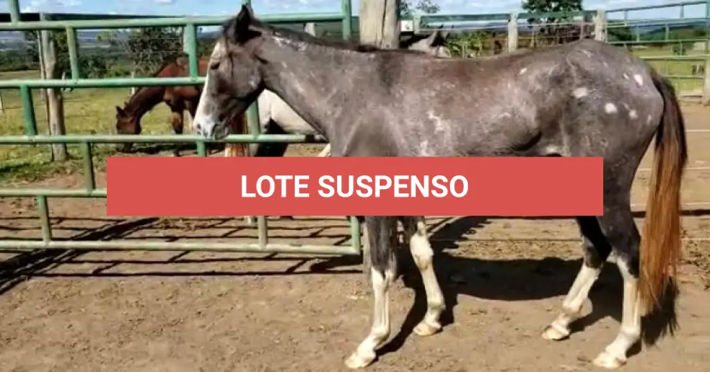 LOTE 037