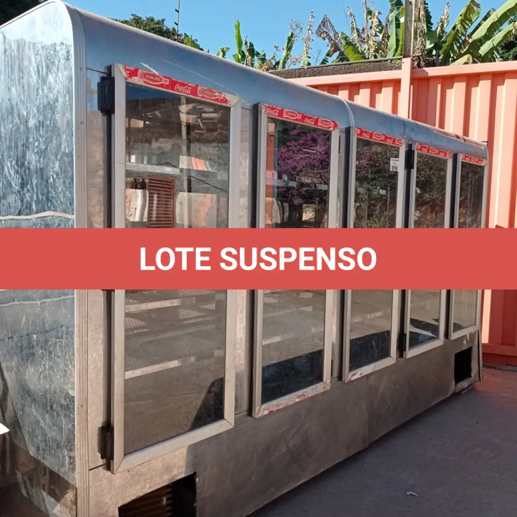 LOTE 519