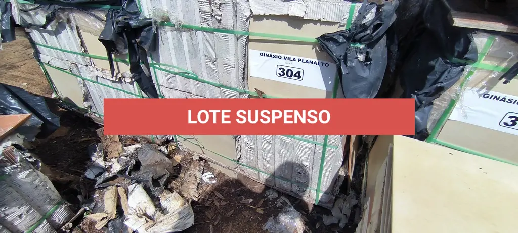 LOTE 304