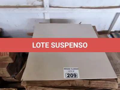 LOTE 209 - 25 CAIXAS DE PISO ELIANE BIANCO PLUS 60CM X 60CM (NO ESTADO)