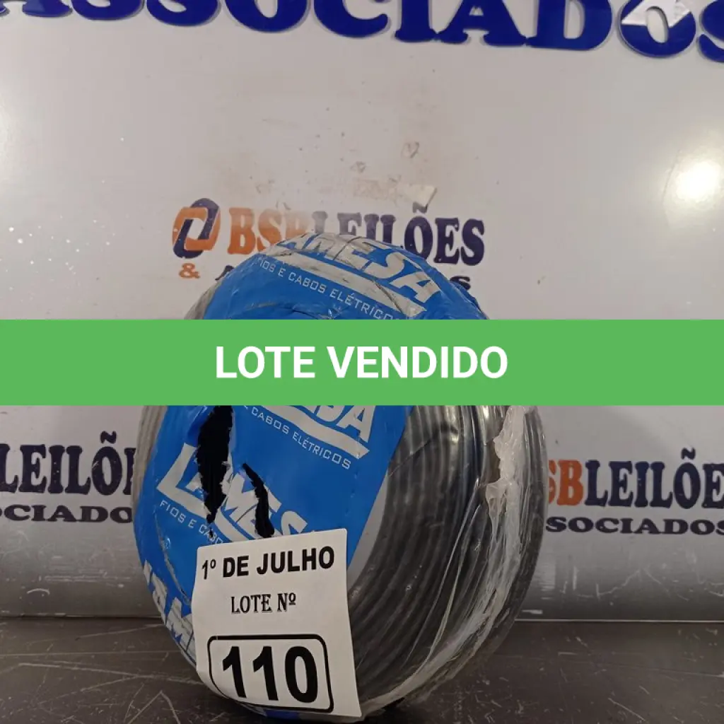 LOTE 110