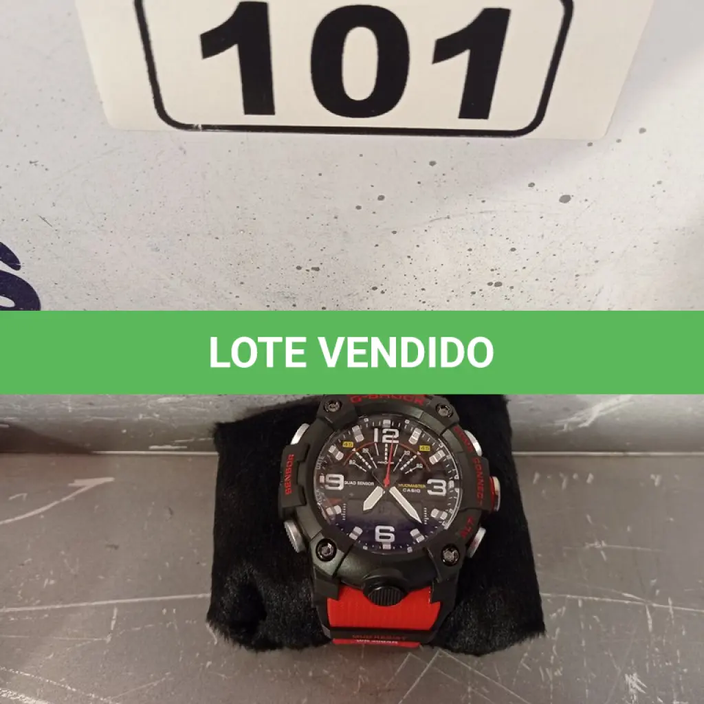 LOTE 101
