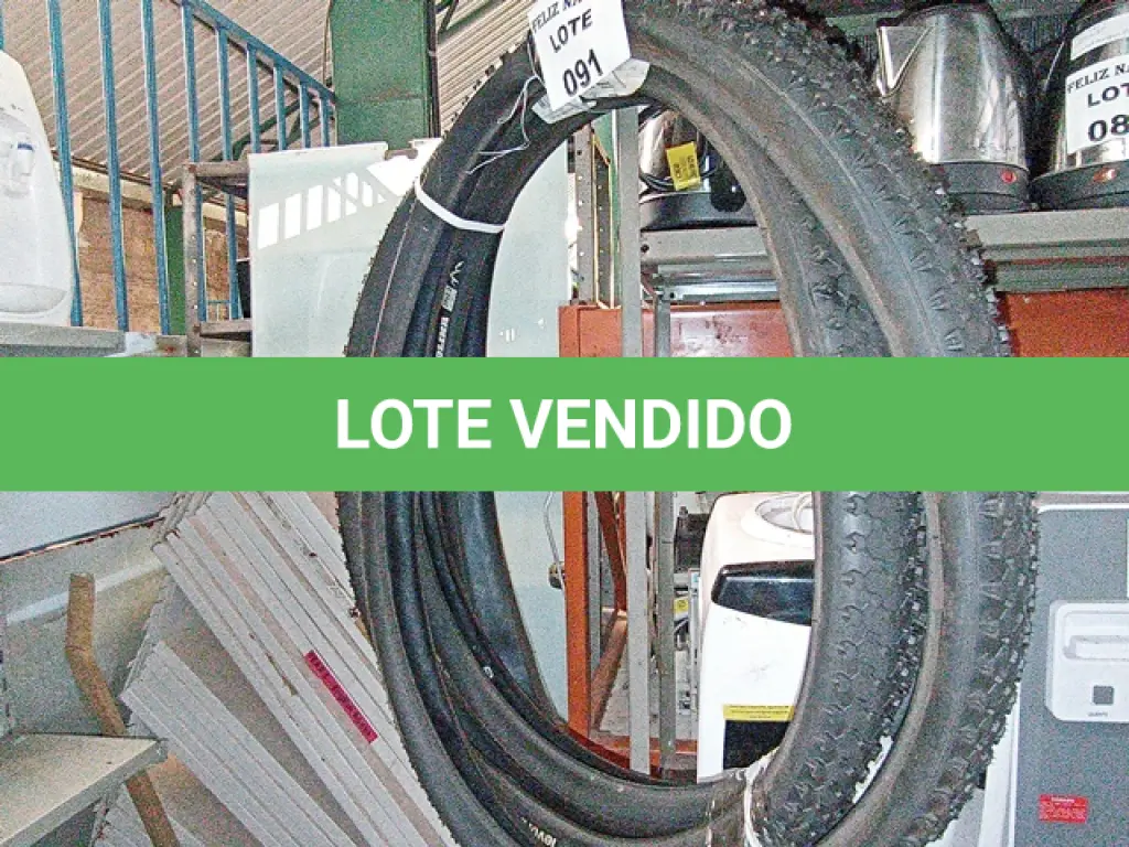 LOTE 091