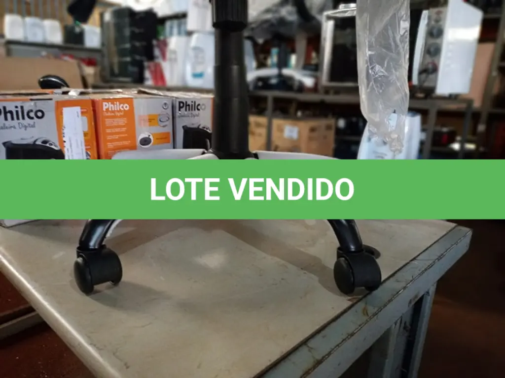 LOTE 146