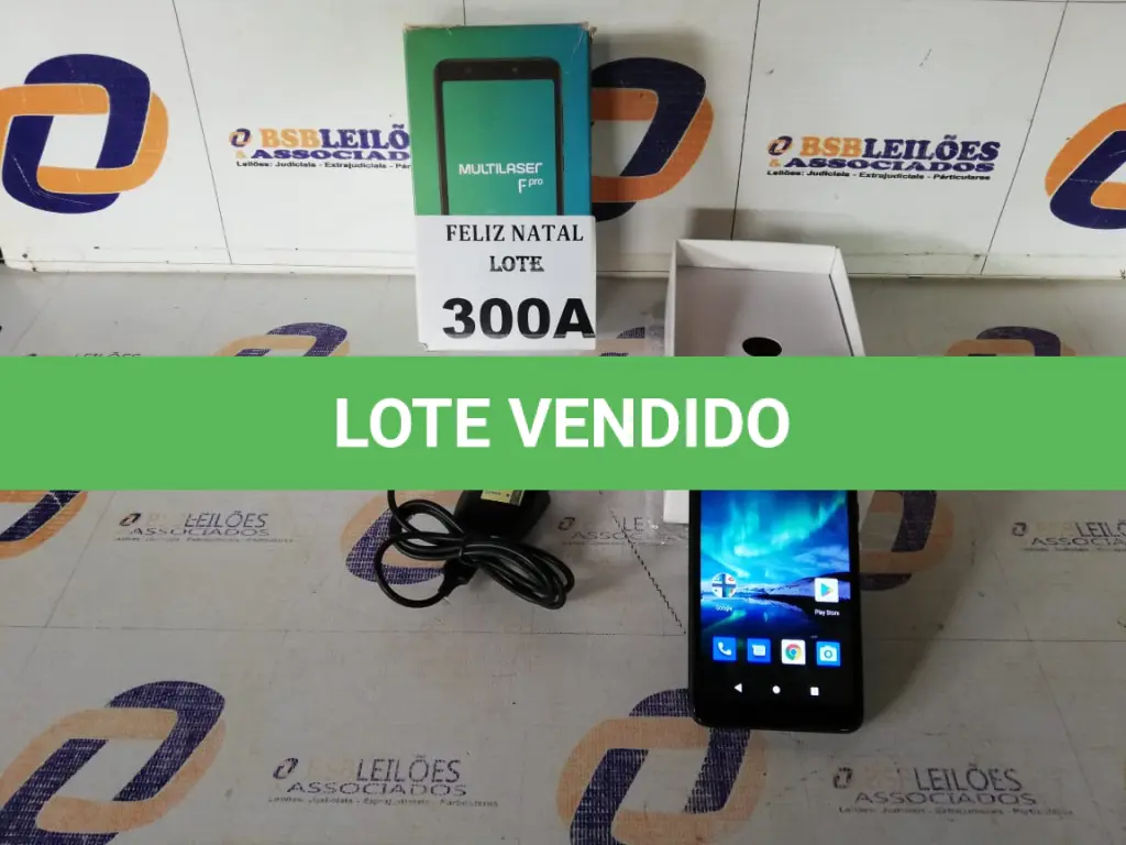 LOTE 300