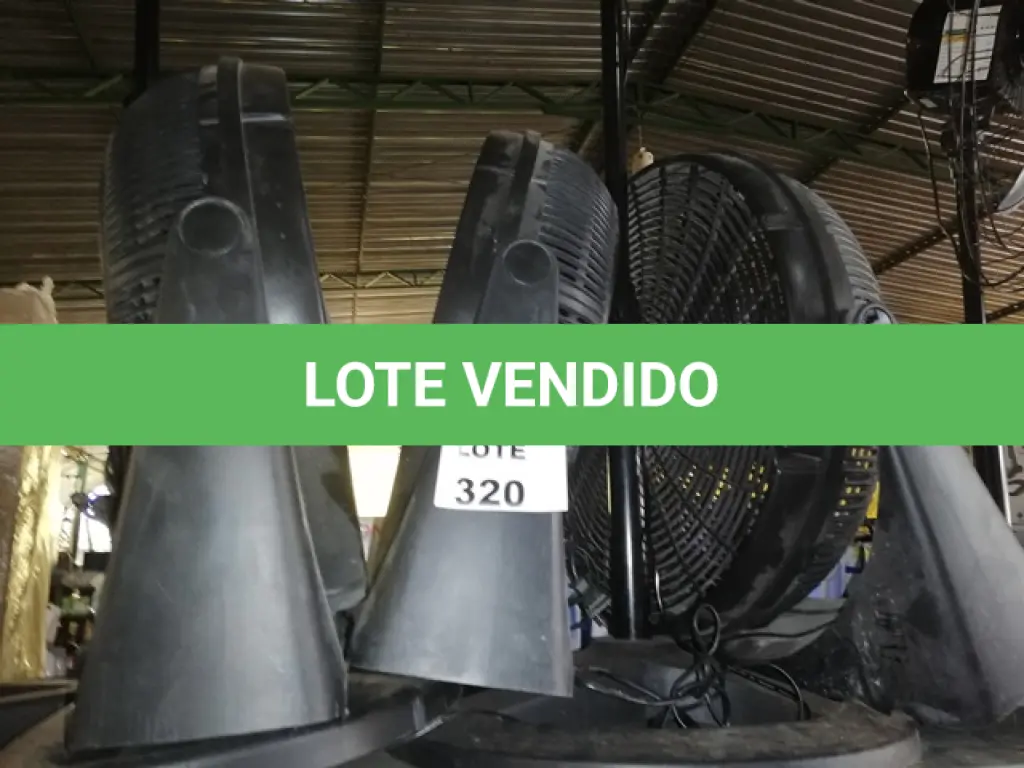LOTE 320