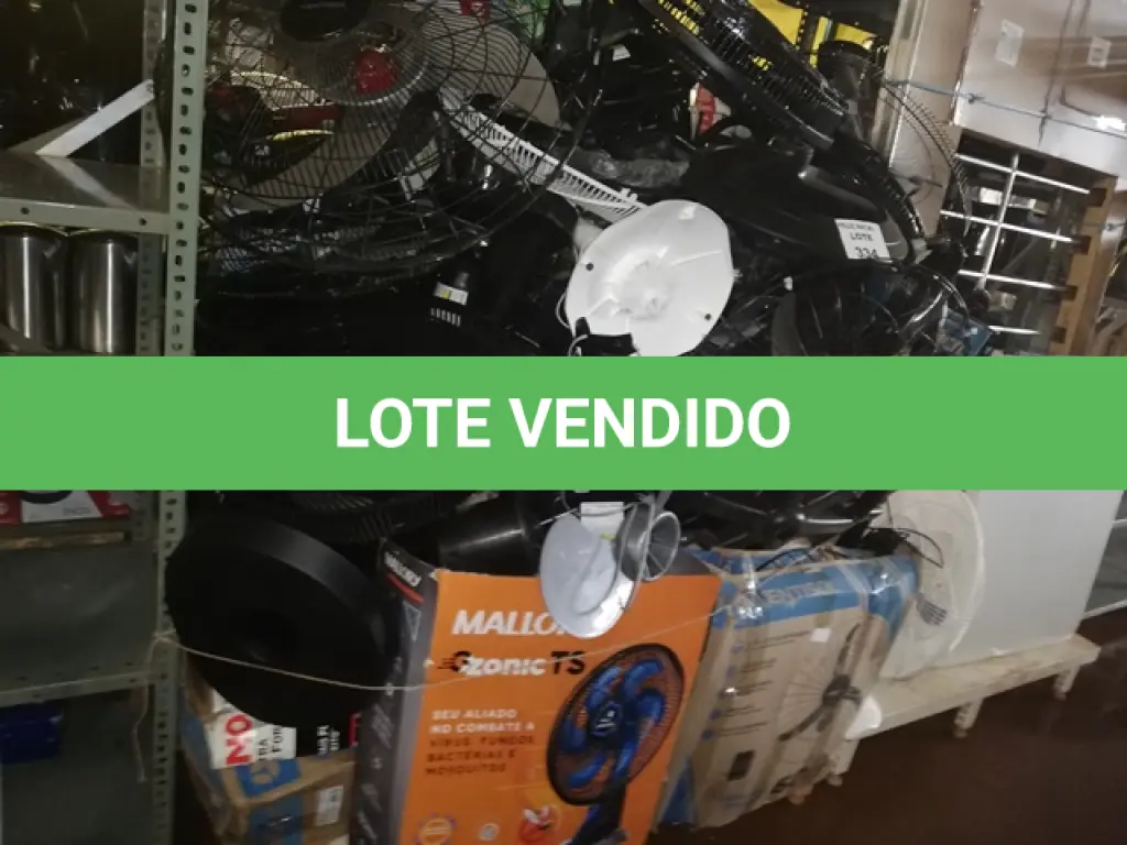 LOTE 334