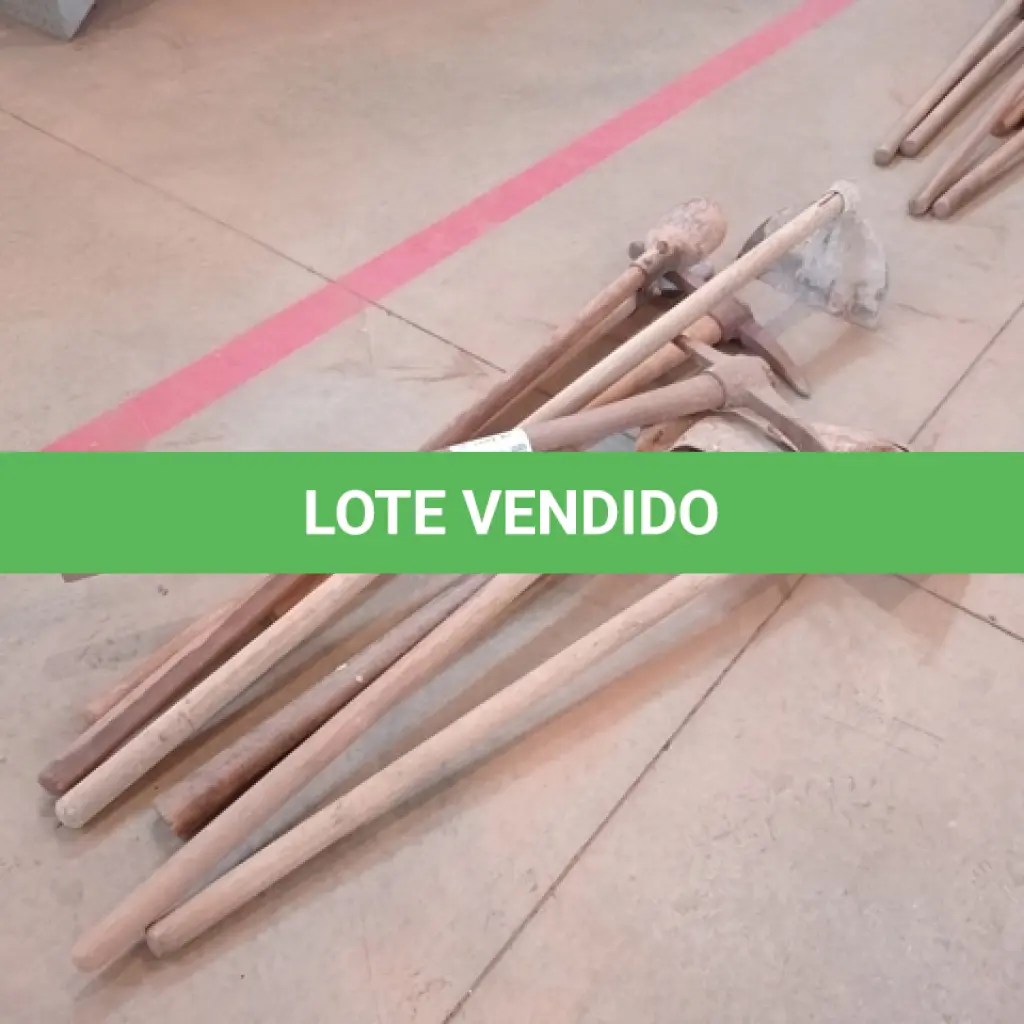 LOTE 061