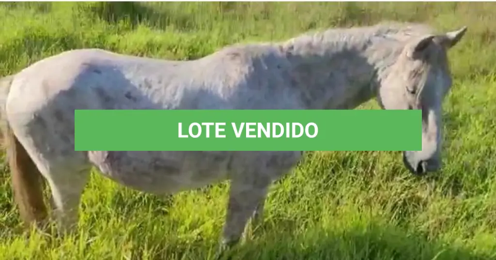 LOTE 040