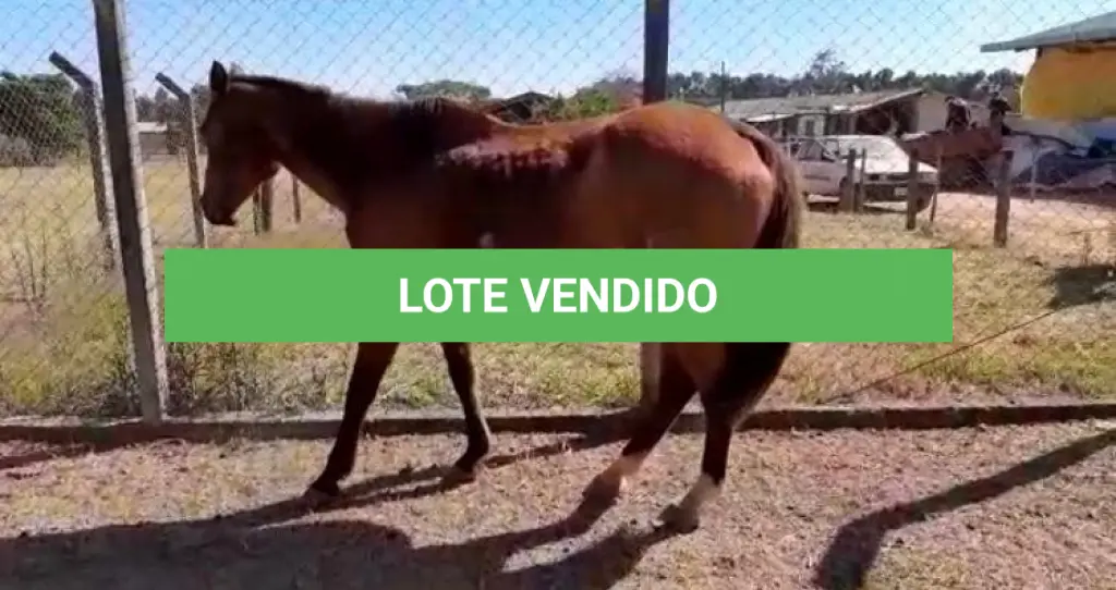 LOTE 044