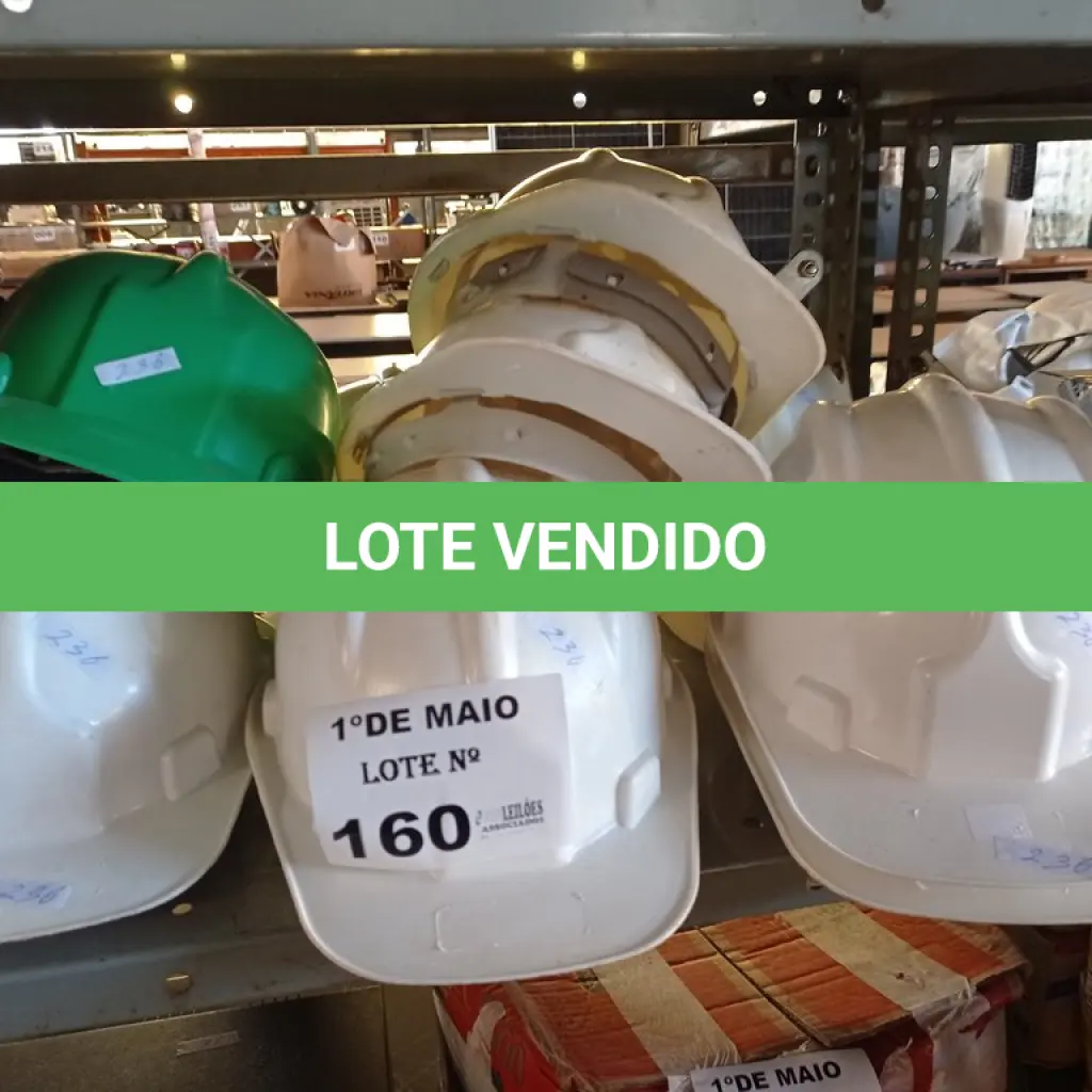 LOTE 160