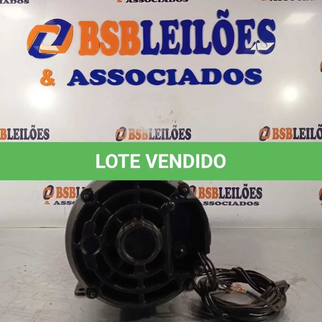 LOTE 142