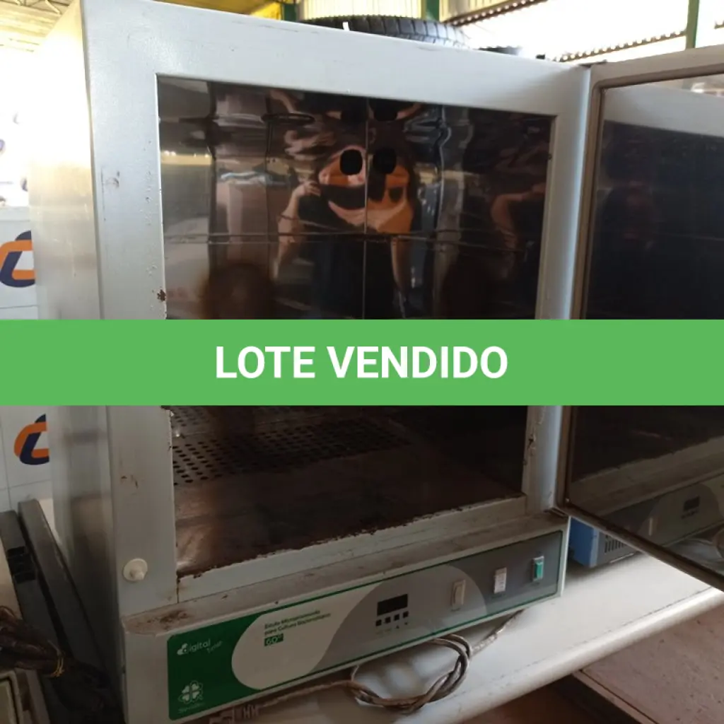 LOTE 291