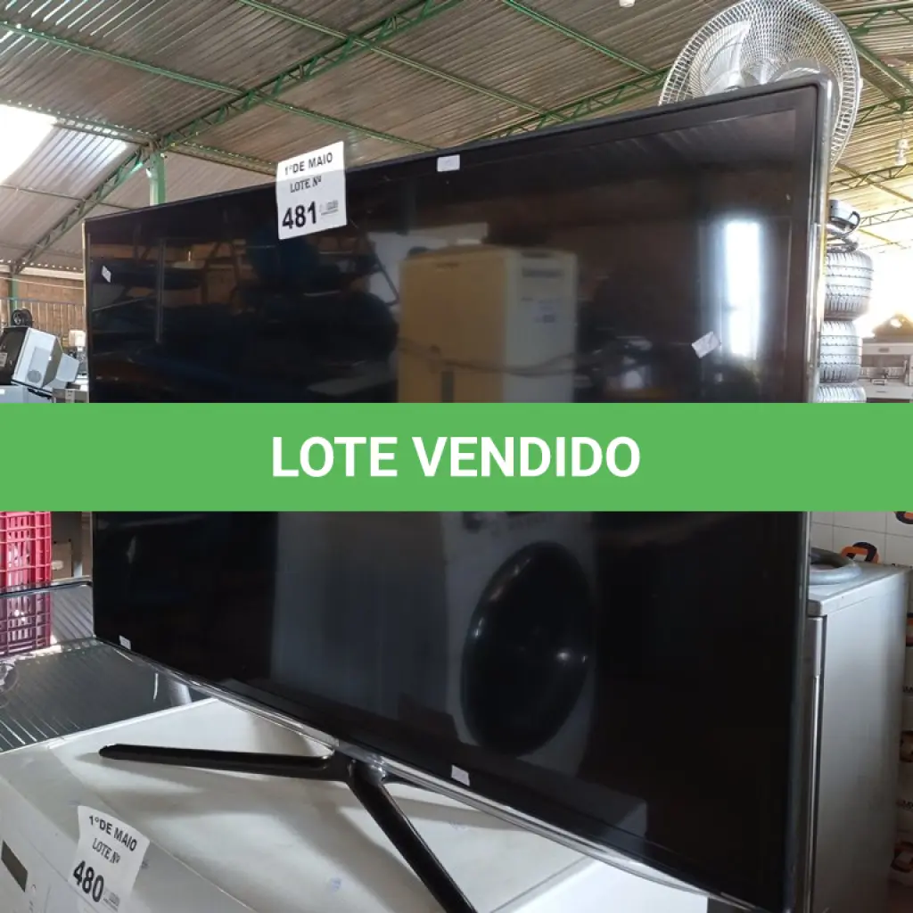 LOTE 481