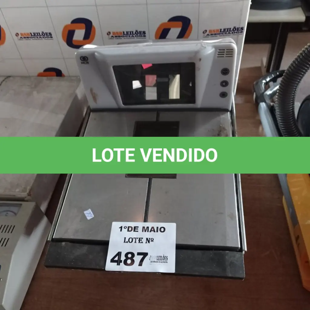 LOTE 487