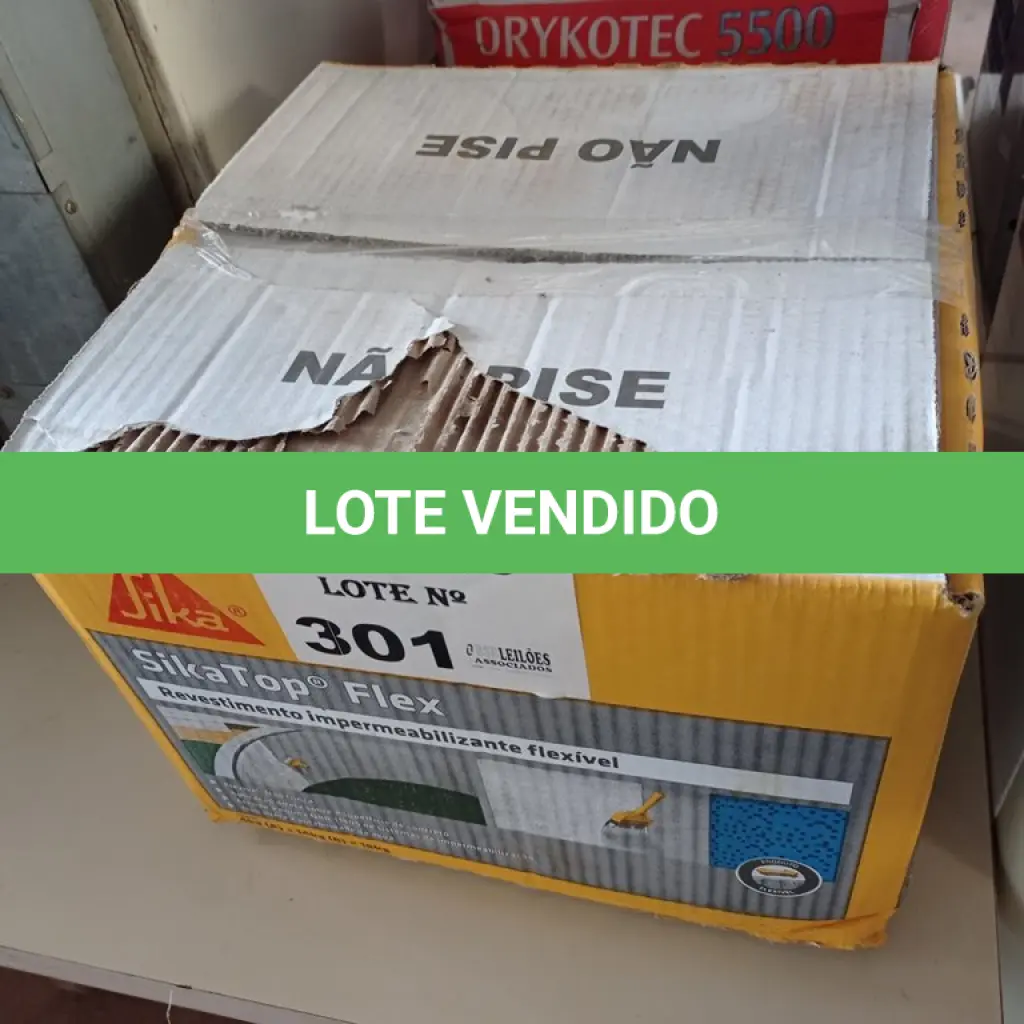 LOTE 301