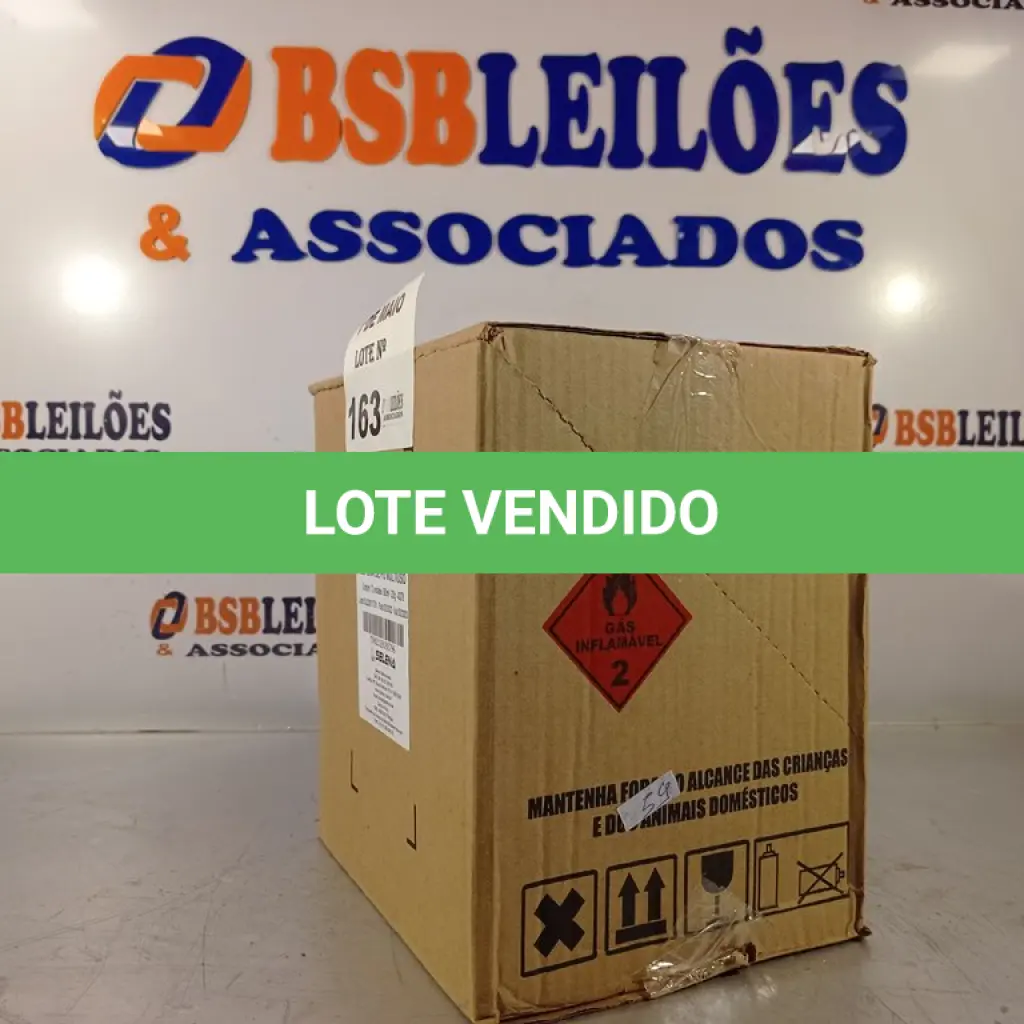 LOTE 163