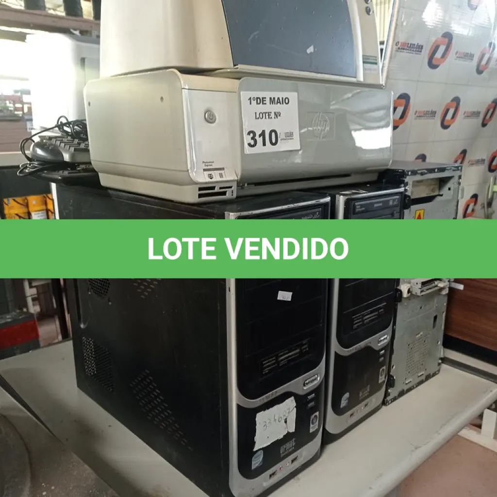 LOTE 310