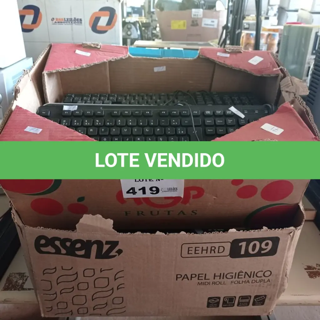 LOTE 419