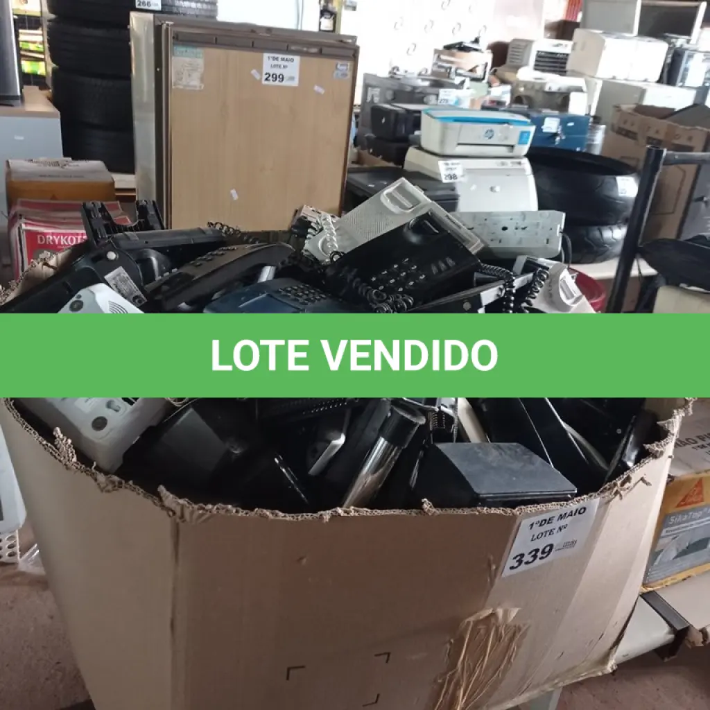 LOTE 339