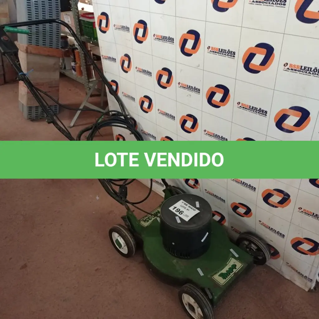 LOTE 196