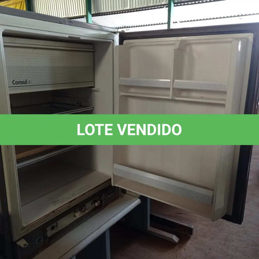 LOTE 299