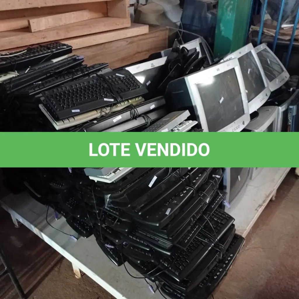 LOTE 505
