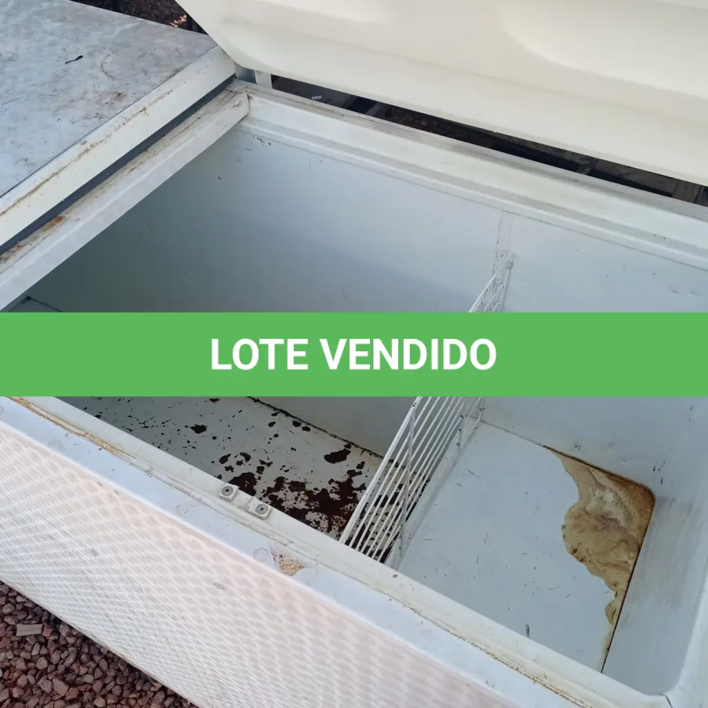 LOTE 518