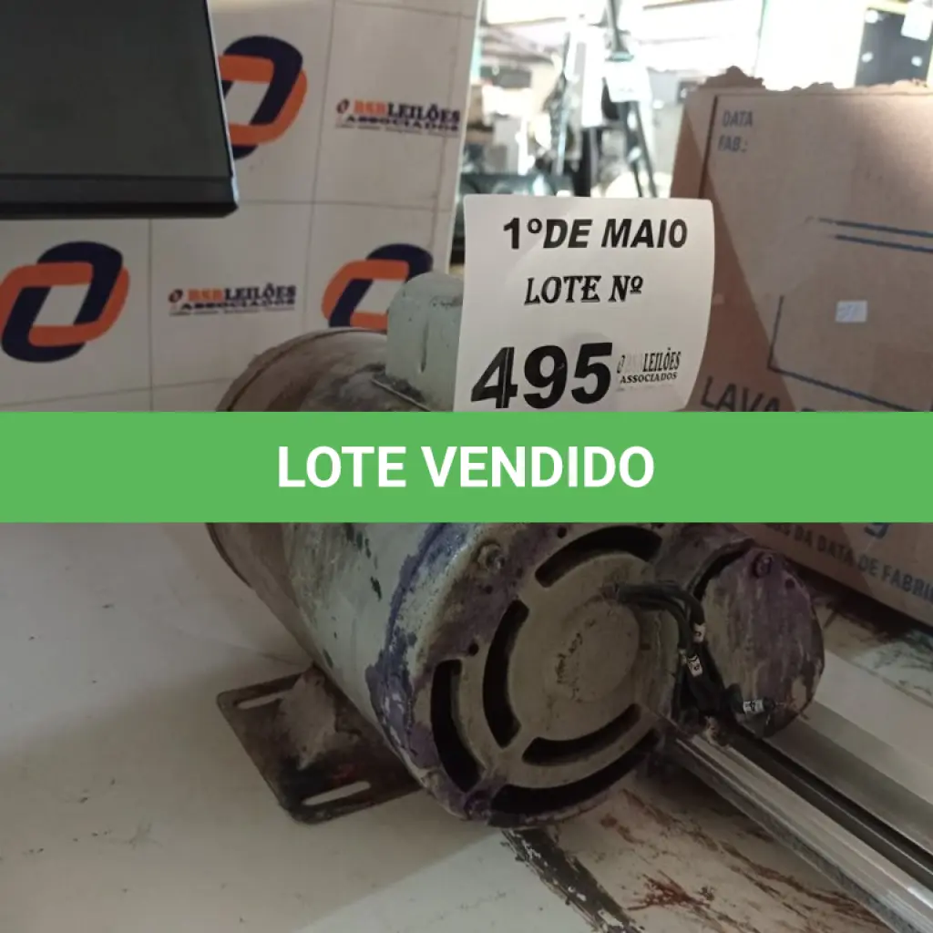 LOTE 495