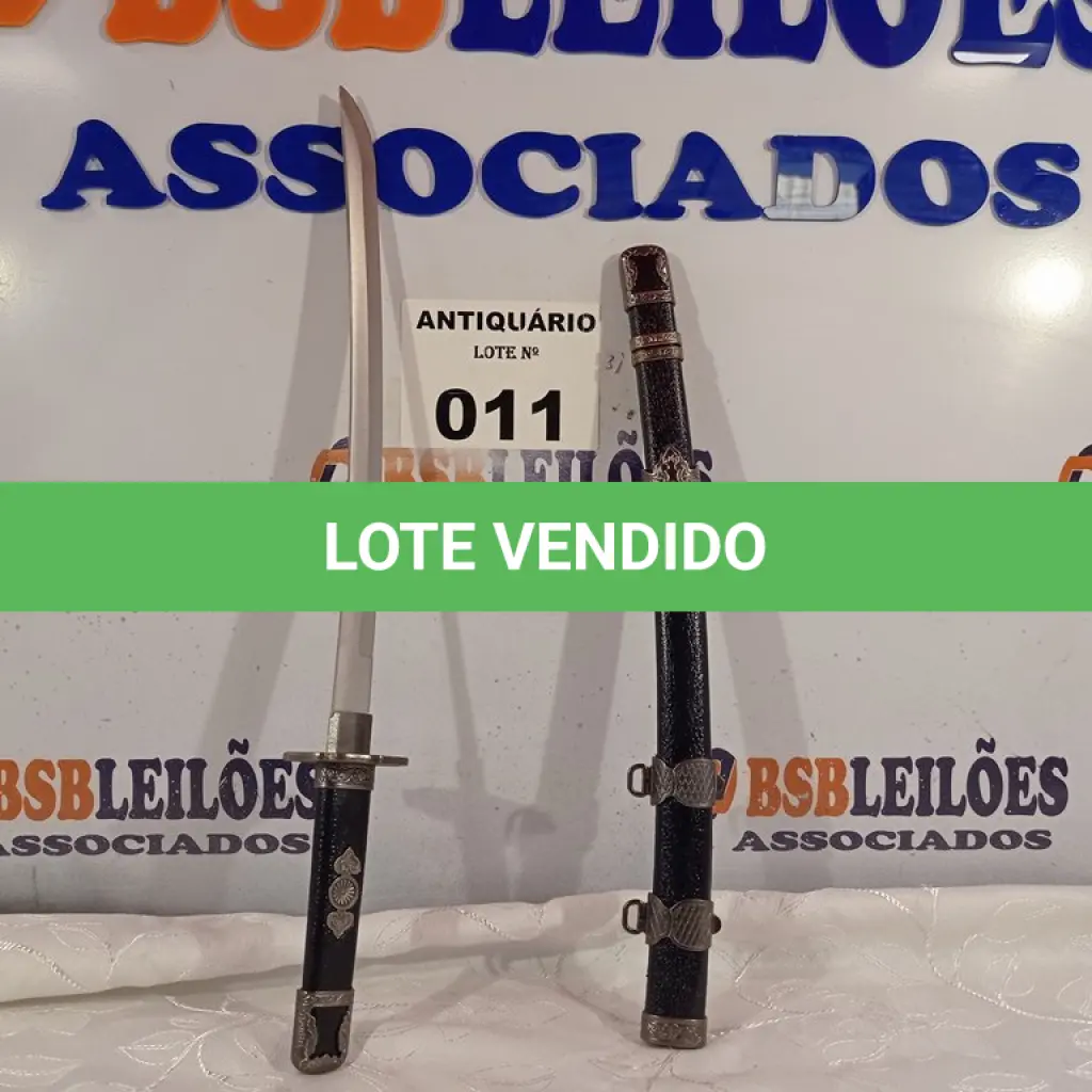 LOTE 011
