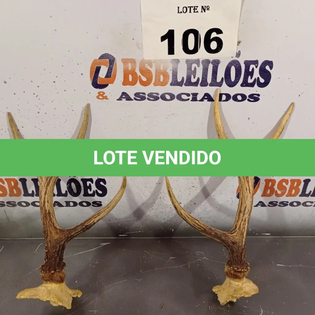 LOTE 106