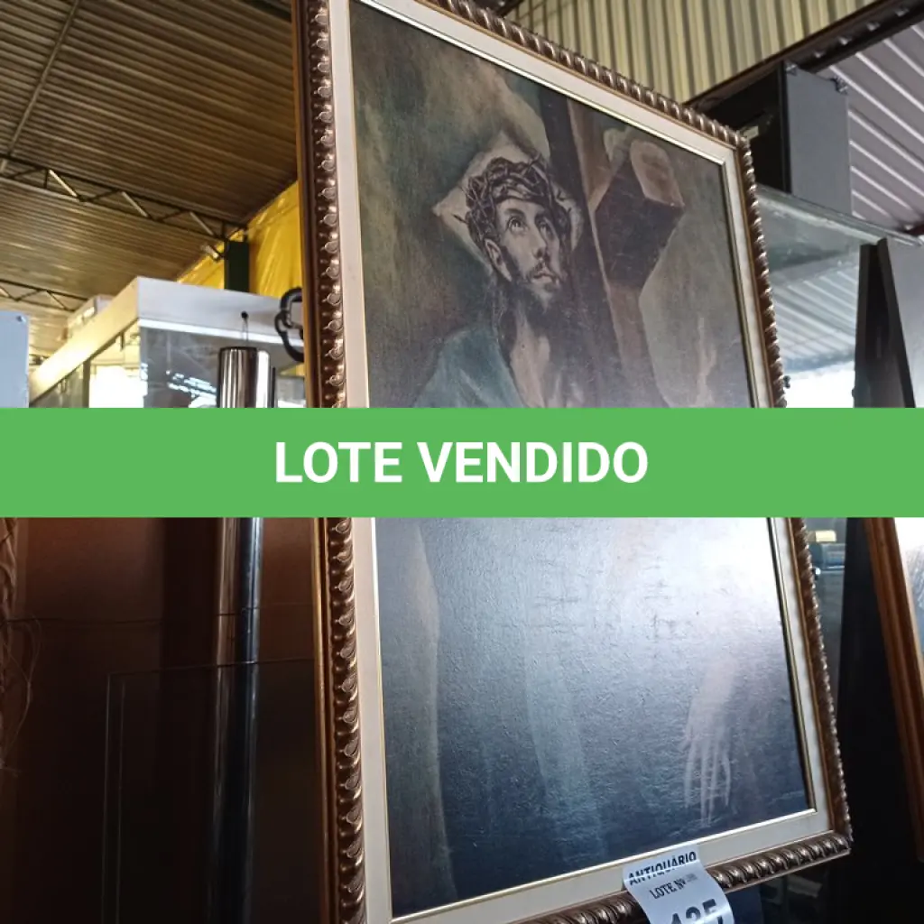 LOTE 135